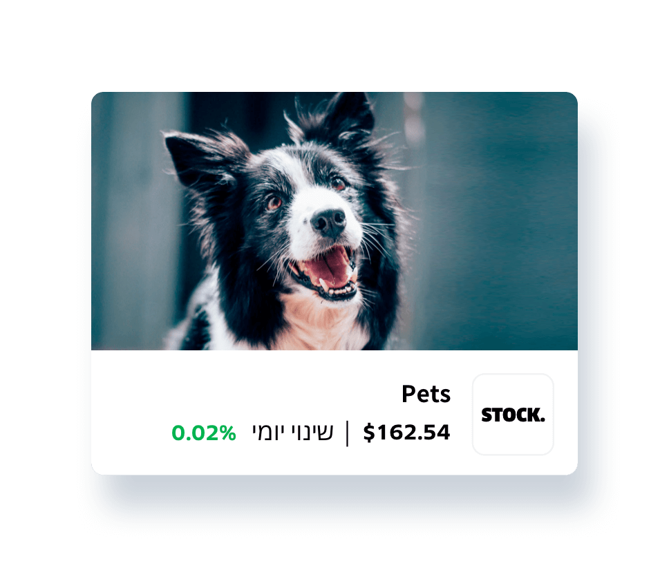 stock.pets. 162.45$. שינוי יומי 0.02%